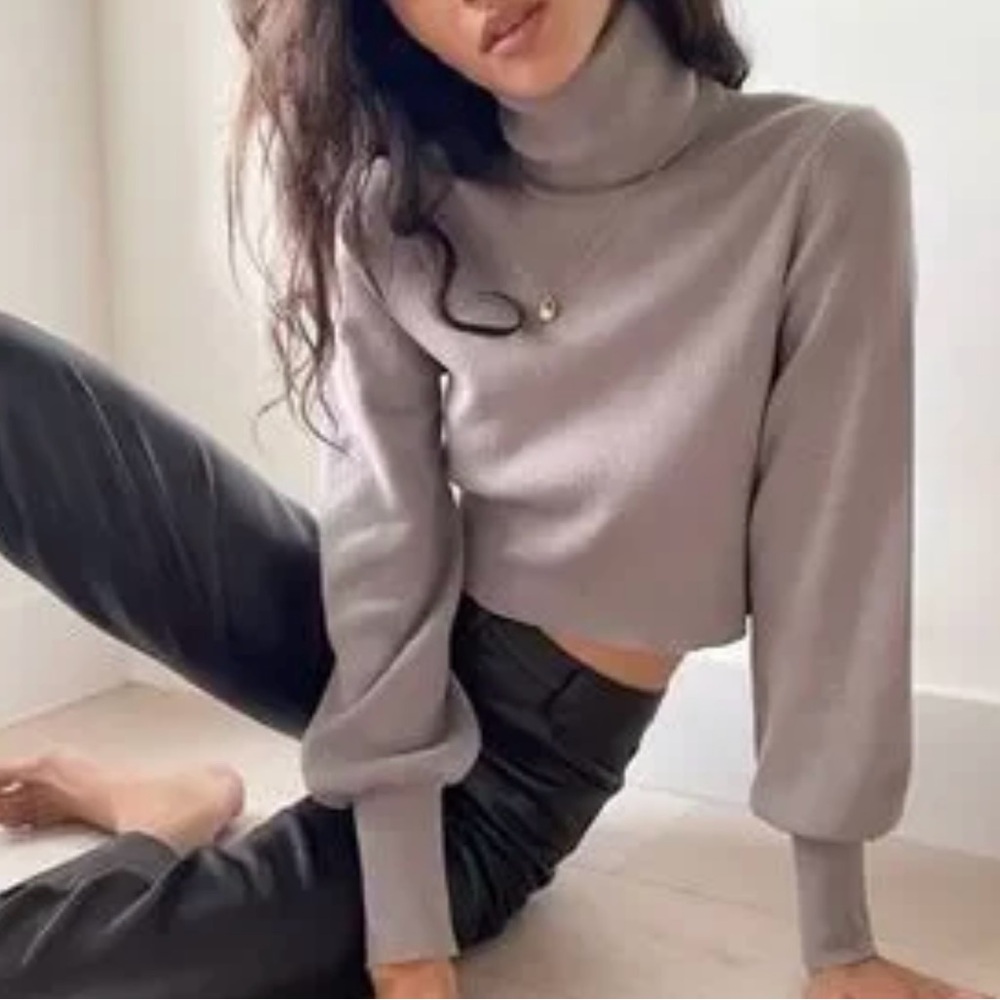 (EUC) ARITZIA Wilfred Rebecca Neutral CreamTurtleneck Sweater Cropped